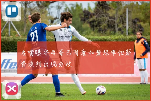 名嘴曝字母哥已同意加盟绿军但薪资谈判出现分歧